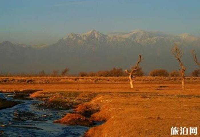 柴窩堡湖 柴窩堡湖
