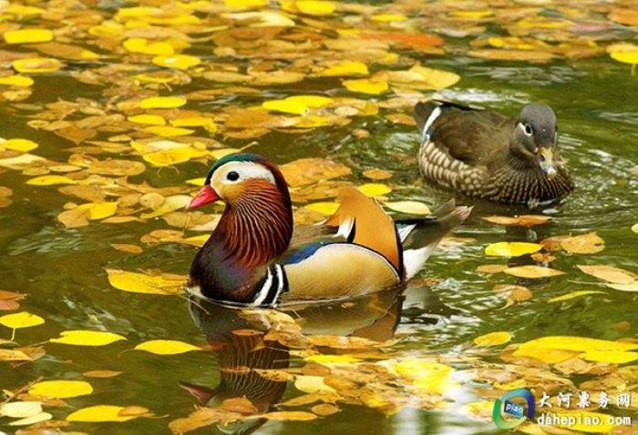 泉州海絲野生動物世界 泉州海絲野生動物世界