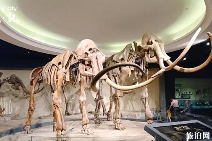 大慶博物館 大慶博物館