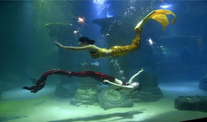 蘭州極地海洋世界