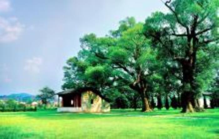 葉坪革命舊址群江西景點