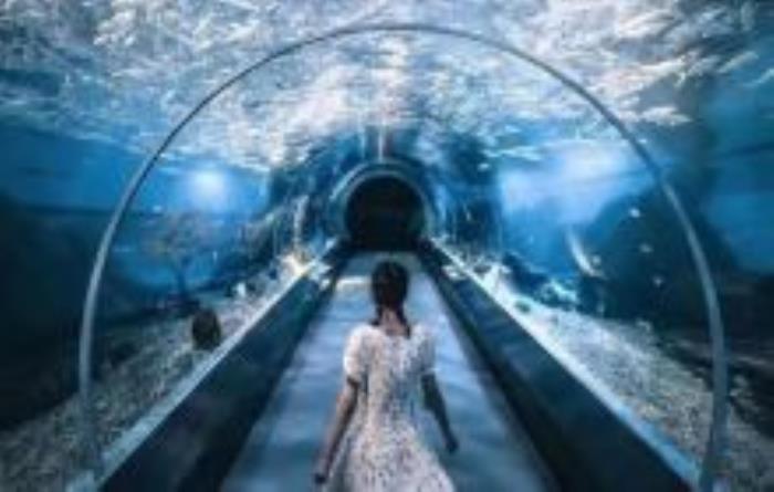 海底兩萬里湖北景點