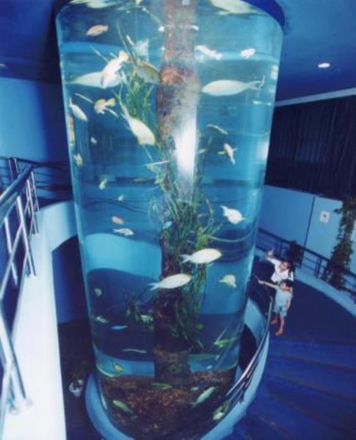 廈門海底世界 廈門海底世界