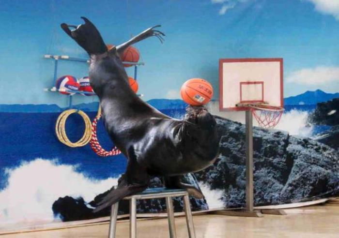 廈門海底世界 廈門海底世界