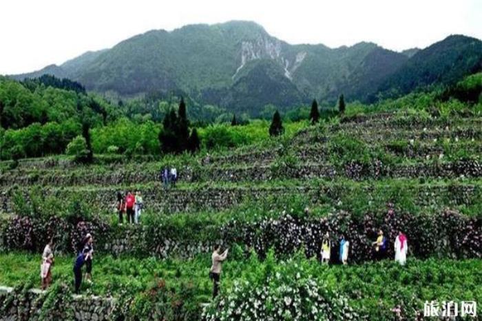 彭州寶山旅游區(qū) 彭州寶山旅游區(qū)