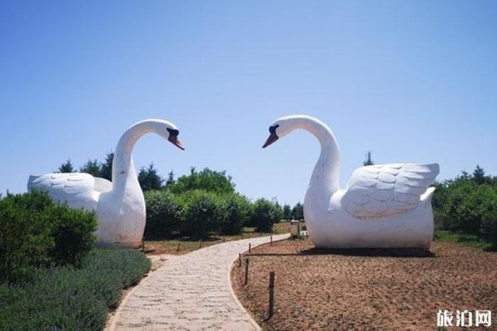 南山公園 南山公園