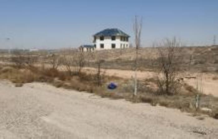 馬蘭花大草原寧夏景點