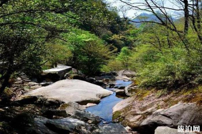 木王國家森林公園