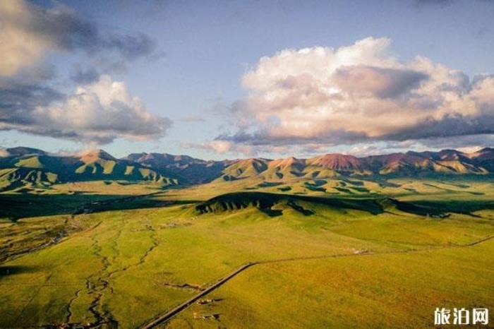 剛察草原 剛察草原