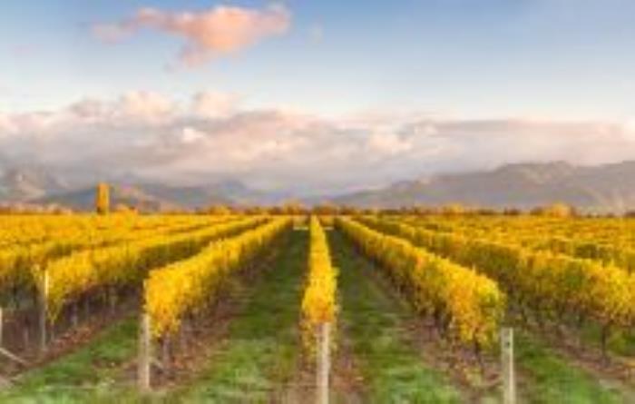 志輝源石葡萄酒莊寧夏景點