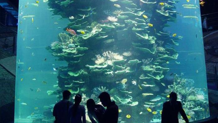 蓬萊海洋極地世界 蓬萊海洋極地世界