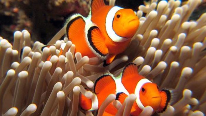 蓬萊海洋極地世界 蓬萊海洋極地世界