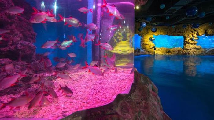 蓬萊海洋極地世界 蓬萊海洋極地世界