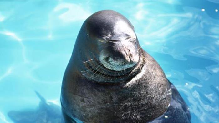 蓬萊海洋極地世界 蓬萊海洋極地世界