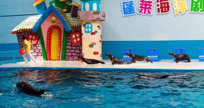 蓬萊海洋極地世界 蓬萊海洋極地世界