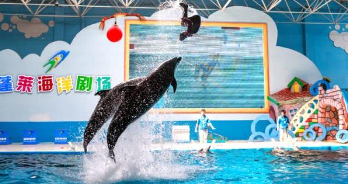 蓬萊海洋極地世界 蓬萊海洋極地世界