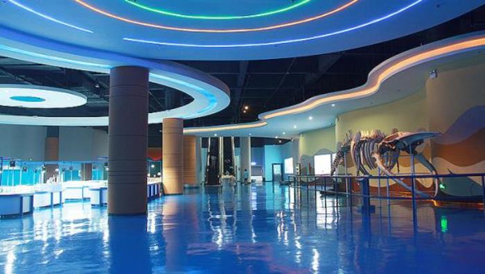 蓬萊海洋極地世界 蓬萊海洋極地世界