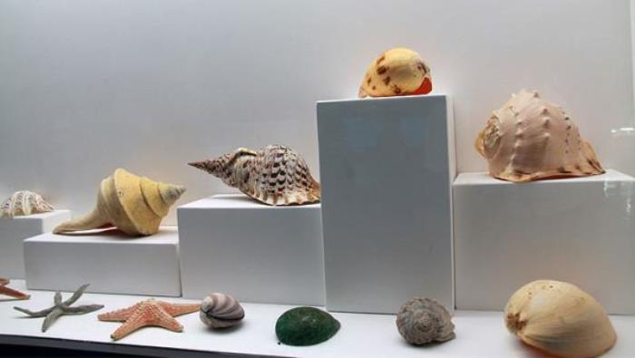 蓬萊海洋極地世界 蓬萊海洋極地世界