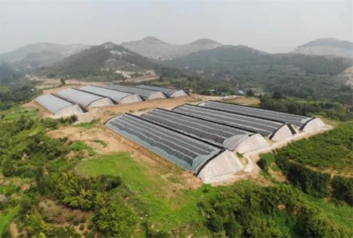 濰坊青州鳳凰臺風景區