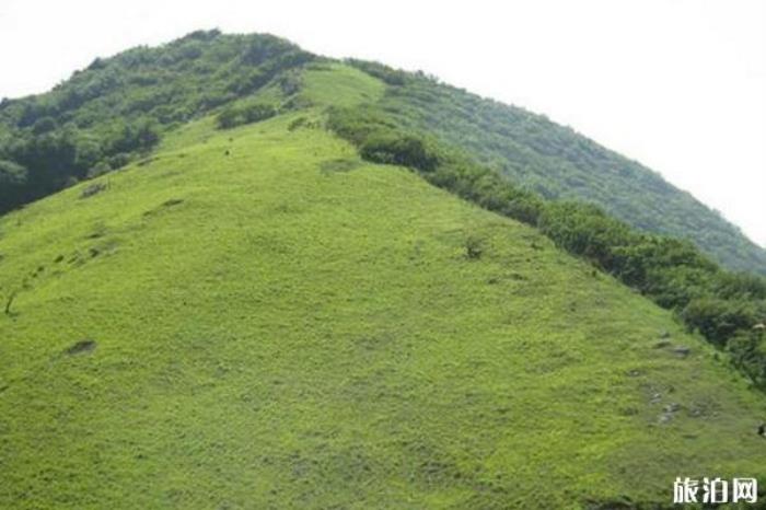 牛背梁國(guó)家森林公園 牛背梁國(guó)家森林公園
