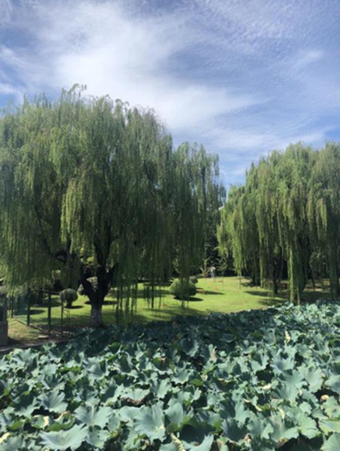 上海大觀園 上海大觀園