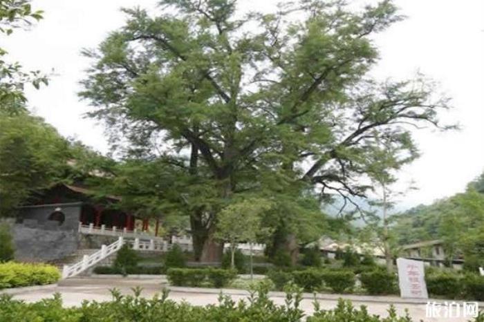 柞水溶洞 柞水溶洞