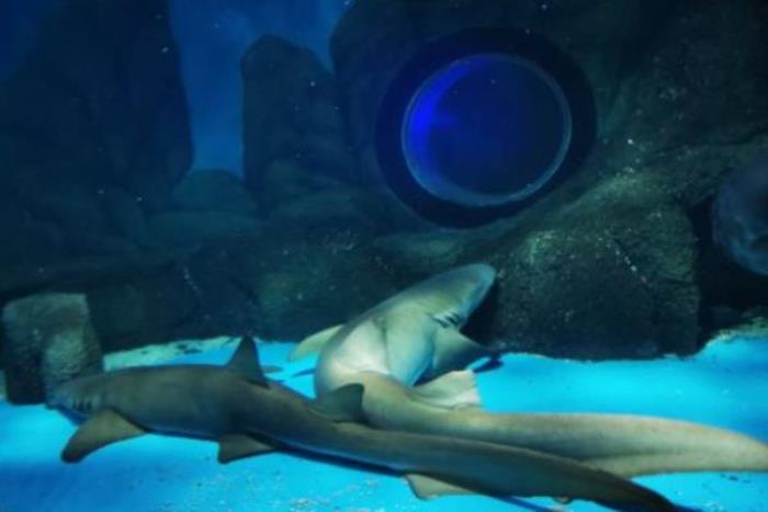 常州海昌海洋探索館