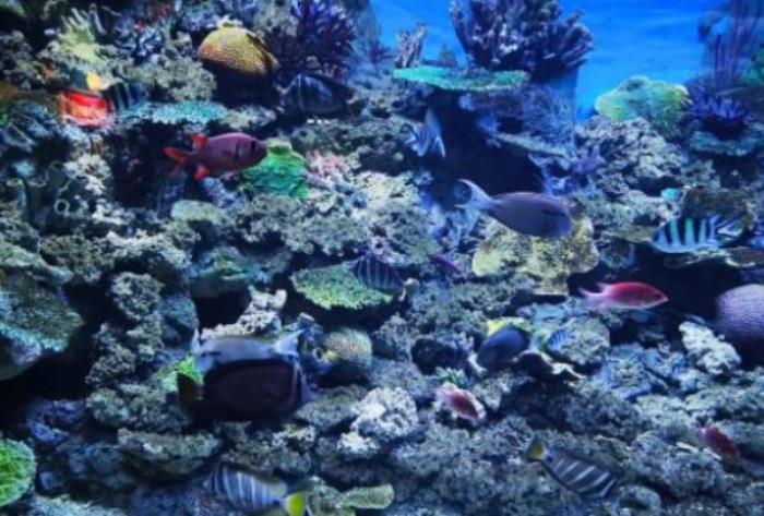 常州海昌海洋探索館