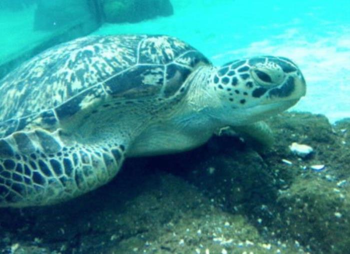 常州海昌海洋探索館
