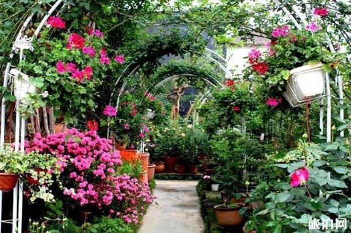 三圣花鄉 三圣花鄉