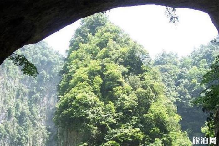 金絲大峽谷國家森林公園