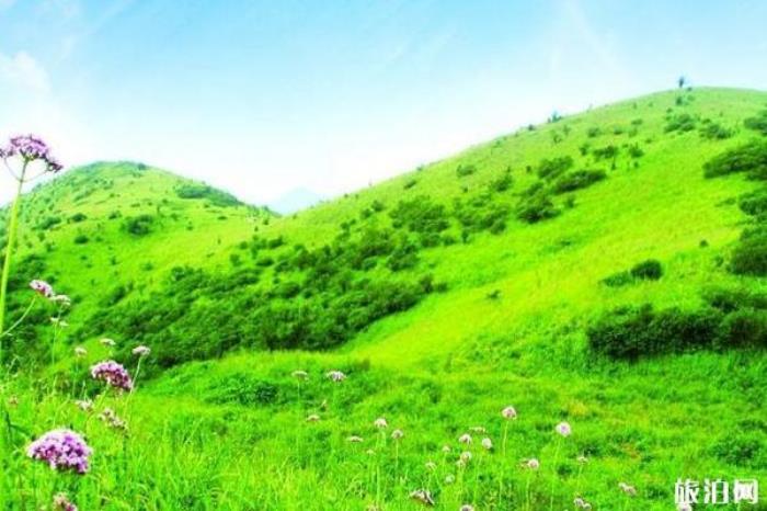 千家坪森林公園 千家坪森林公園