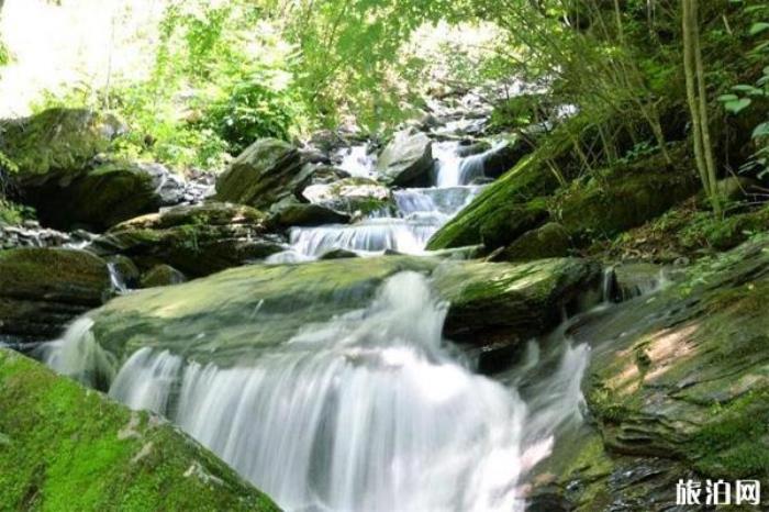 千家坪森林公園 千家坪森林公園