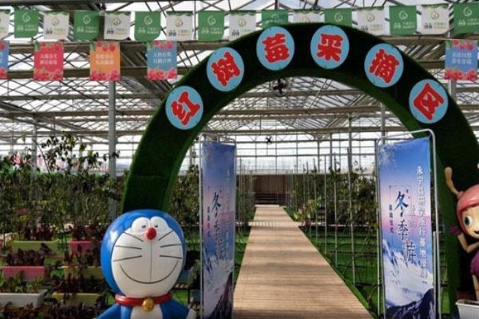 棚湖灣樹莓生態景區