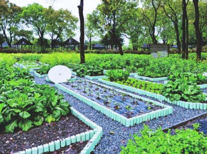 上海-大千天鵝湖莊園 上海-大千天鵝湖莊園