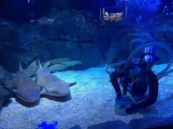 煙臺海昌鯨鯊海洋公園