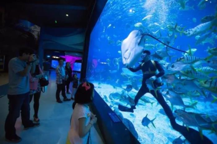 煙臺海昌鯨鯊海洋公園