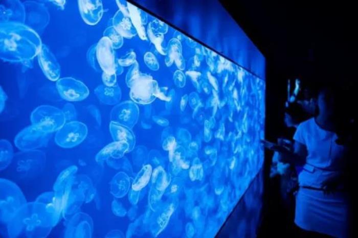 煙臺海昌鯨鯊海洋公園