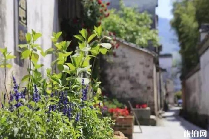 黟縣打鼓嶺景區