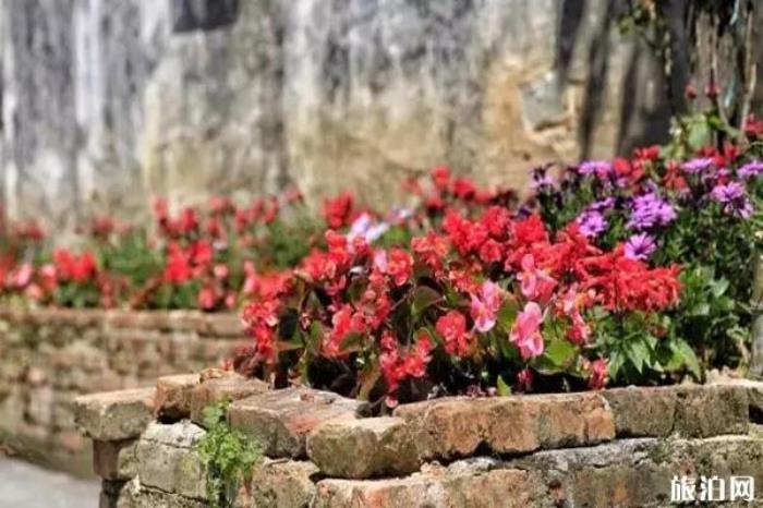 黟縣打鼓嶺景區 黟縣打鼓嶺景區