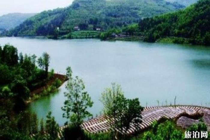 鳳凰山森林公園 鳳凰山森林公園