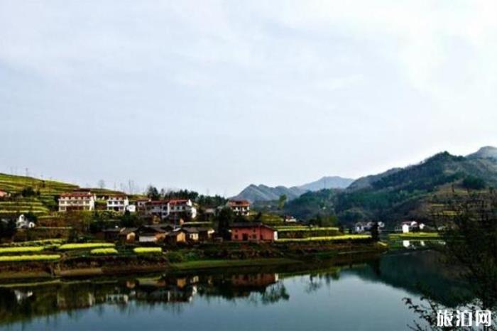鳳凰山森林公園 鳳凰山森林公園