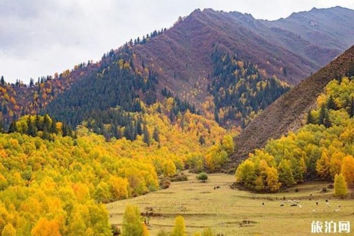 仙米國(guó)家森林公園