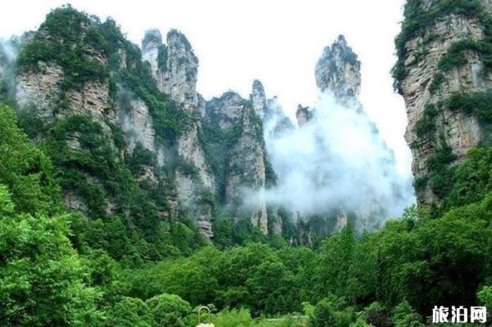 南宮山國家森林公園 南宮山國家森林公園