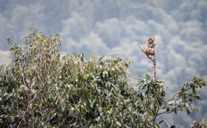 太姥山風景區(qū) 太姥山風景區(qū)