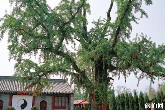 西安重陽宮 西安重陽宮