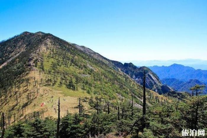 西安朱雀國家森林公園 西安朱雀國家森林公園