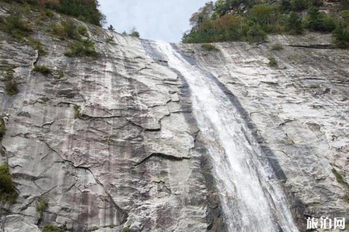 西安朱雀國家森林公園 西安朱雀國家森林公園