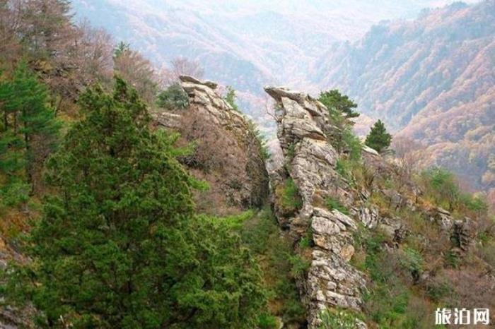 西安朱雀國家森林公園 西安朱雀國家森林公園