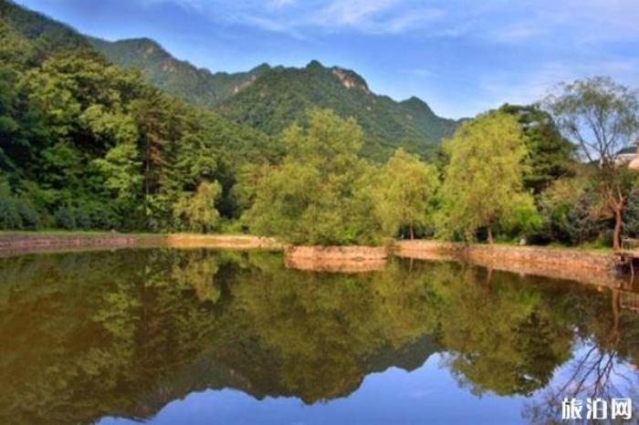 西安朱雀國家森林公園 西安朱雀國家森林公園